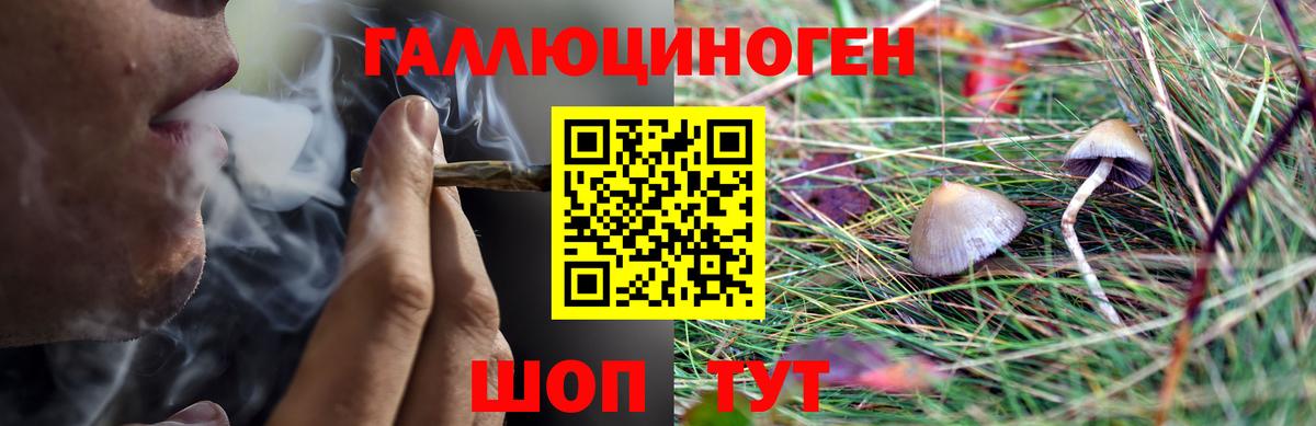 Елец  Галлюциногенные грибы Magic Shrooms  Псилоцибиновые грибы Cubensis  Вход с VPN 